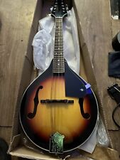 Stagg m20 bluegrass for sale  LEAMINGTON SPA