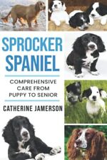 Sprocker spaniel comprehensive for sale  UK