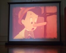 Pinocchio film completo usato  Roma