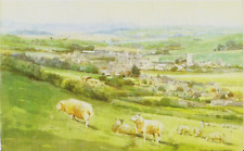 Sheep field abbotsbury for sale  COLNE