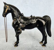 pony beautiful black for sale  Spencerville