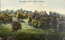 Old castle dynevor for sale  GRIMSBY