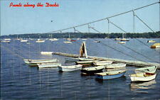 Punts along dock for sale  Sandusky