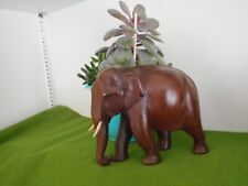 Bull brown elephant for sale  Goshen