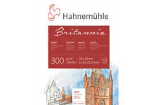 Hahnemuhle britannia watercolo for sale  NEWARK