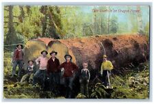 Sherwood oregon postcard for sale  Terre Haute