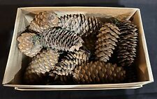 375 pine cones for sale  Wausaukee