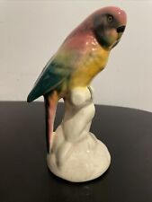 birds parakeet for sale  Thermal