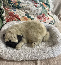 Perfect petzzz pug for sale  Pensacola