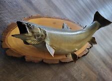 Vintage trout wall for sale  Lawson