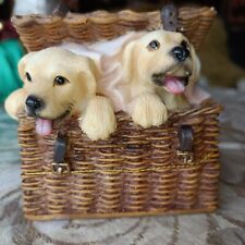 Leonardo collection puppies for sale  MOTHERWELL