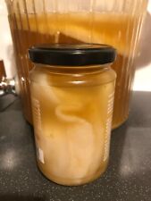 Kombucha scoby organic for sale  ST. LEONARDS-ON-SEA