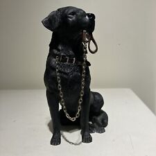 Black labrador retriever for sale  BIRMINGHAM