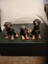 Three rottweiler dogs for sale  RETFORD