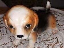 Glazed beagle puppy for sale  Waco