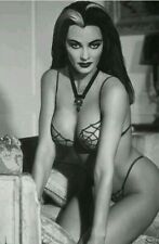 Yvonne carlo lily for sale  USA