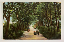 Avenue sark 1907 for sale  UK