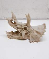 Resin dinosaur triceratops for sale  WOLVERHAMPTON