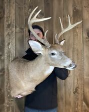 Beautiful vintage 8pt for sale  Port Matilda