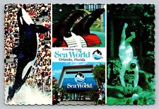 Postcard Florida Orlando Sea World Multiview Scalloped Edge Unposted C096 for sale  Shipping to South Africa