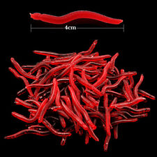 Red bait worms for sale  LIVERPOOL