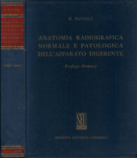 Anatomia radiografica normale usato  Italia