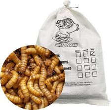 Live regular mealworms for sale  CHESTERFIELD