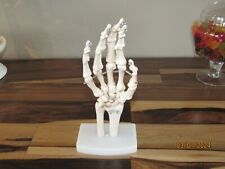 Functional hand skeleton for sale  Pittsburgh