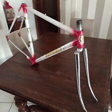 Frame bike picchio for sale  Shipping to Ireland