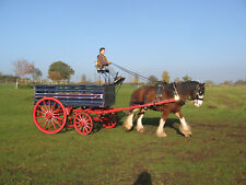 horse drawn dray for sale  CREWE
