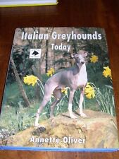 Rare italian greyhound for sale  WARRINGTON