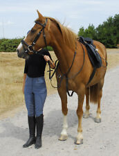 Windsor equestrian horse for sale  READING