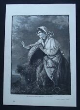 Antique print siddy for sale  HAYLING ISLAND