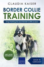 Border collie training for sale  ROSSENDALE