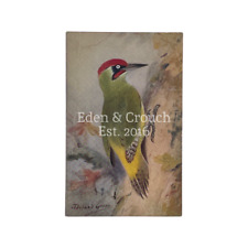 Green woodpecker roland for sale  SOUTHSEA