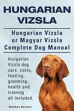 Hungarian vizsla. hungarian for sale  SWANSEA