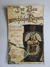Capa de livro alemã antiga construção do corpo humano Der Bau des human Ko comprar usado  Enviando para Brazil