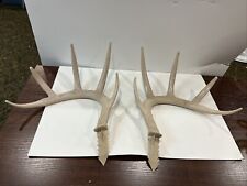 New deer decoy for sale  Smithtown