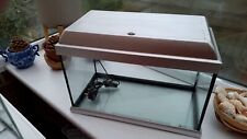 40l aquarium fish for sale  WHITLEY BAY