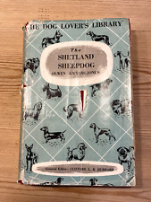 Rare shetland sheepdog for sale  WARRINGTON