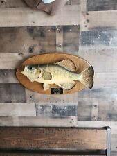 Taxidermy crappie mount for sale  New Douglas