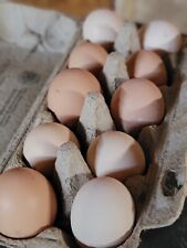 Brahma blumenhuhn eier gebraucht kaufen  Loburg