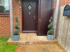 Artificial boxwood plants for sale  DORKING