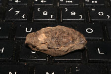 Steinmeteorit nwa unklassifizi gebraucht kaufen  Rosendahl