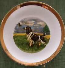 springer spaniel plate for sale  BUDE