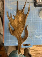 Real fallow antler for sale  Leander