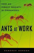 Ants at Work: How an Insect Society Is Organized by Gordon, Deborah M. comprar usado  Enviando para Brazil