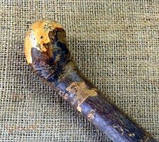 Antique hazel shillelagh for sale  Shipping to Ireland