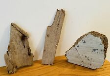 Flat ish driftwood for sale  CLACTON-ON-SEA
