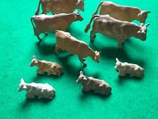 Britains jersey cows for sale  NELSON